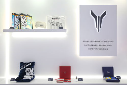 央企高管與央視女主播在上海車展創新帶貨嵐圖汽車