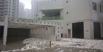 山竹過后令人毛骨悚然的一幕,不得不為人類的未來擔(dān)憂